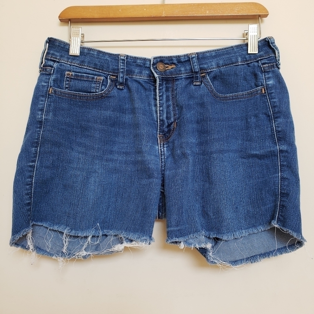 HOLLISTER Denim Cut Off Shorts